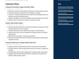 Investment Banking Business Analyst Sample Resume Investment Banker Resume Examples & Writing Tips 2021 (free Guide)