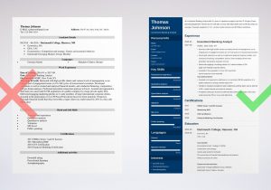 Investment Banking Business Analyst Sample Resume Investment Banking Resume Template & Guide [20 Examples]