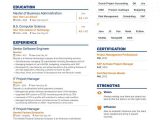 It Infrastructure Project Manager Resume Samples It Project Manager Resume Examples & top Advice