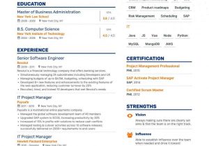 It Infrastructure Project Manager Resume Samples It Project Manager Resume Examples & top Advice