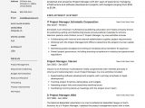 It Infrastructure Project Manager Resume Samples Project Manager Resume Example Project Manager Resume, Manager …