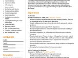 It Professional Resume Examples and Samples It Director Resume Example Cv Sample [2020] – Resumekraft