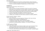 It Professional Resume Examples and Samples Resume Samples Templates Examples Vault.com