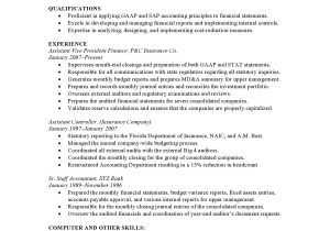 It Professional Resume Examples and Samples Resume Samples Templates Examples Vault.com