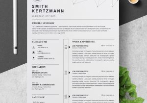 It Professional Resume Template Free Download Professional Resume Template â Free Resumes, Templates Pixelify.net