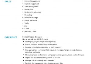 It Project Management Resume Examples and Samples Project Manager Resume Example & Writing Tips In 2020 – Resumekraft