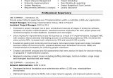 It Project Management Resume Examples and Samples Sample Resume for A Midlevel It Project Manager Monster.com