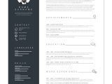 It Resume Samples for College Students College Student Resume Examples for Every Style Make It with …