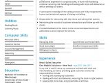 It Sales Resume Examples and Samples Sales Executive Resume Example Cv Sample [2020] – Resumekraft