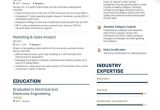 It Sales Resume Examples and Samples top Sales Analyst Resume Examples & Samples for 2021 Enhancv.com