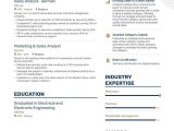 It Sales Resume Examples and Samples top Sales Analyst Resume Examples & Samples for 2021 Enhancv.com