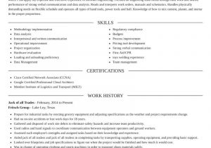 Jack Of All Trades Resume Sample Jack Of All Trades Resume Writer & Example Rocket Resume
