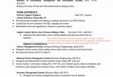 Jack Of All Trades Resume Sample Resume Summary Examples for Jack Of All Trades â Unbrick.id