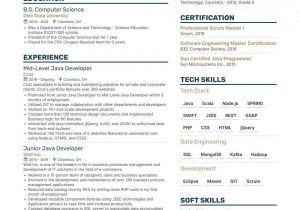Java 1 Year Experience Resume Sample Java Developer Resume Guide & Samples