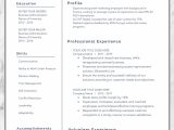 Job Seeker Resume Cv Samples 2019 Resume Template 2019 Professional Resume Executive Resume Etsy …