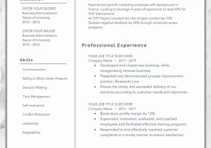Job Seeker Resume Cv Samples 2019 Resume Template 2019 Professional Resume Executive Resume Etsy …
