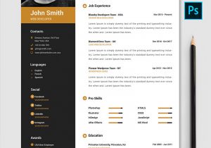 John Smith Resume Template Free Download John Smith Resume Template