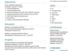 Junior Front End Developer Resume Sample Junior software Developer Resume Sample 2021 Writing Tips …
