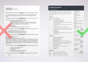 Junior Front End Web Developer Resume Sample Front End Developer Resume Example & Guide (20lancarrezekiq Tips)