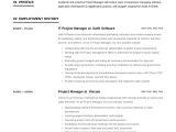 Junior It Project Manager Resume Sample 20 Project Manager Resume Examples & Full Guide Pdf & Word 2021