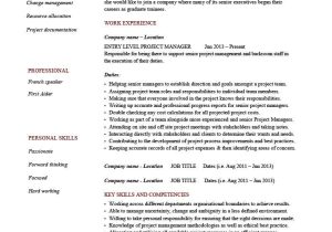 Junior It Project Manager Resume Sample Entry Level Project Manager Resume, Example, Cv, Junior …