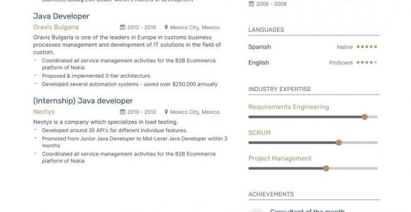 Junior Java Developer Resume Sample Pdf 6lancarrezekiq Junior Java Developer Resume Examples 2019 Resume Examples …
