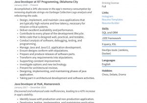 Junior Java Developer Resume Sample Pdf Java Developer Resume & Writing Guide  20 Templates