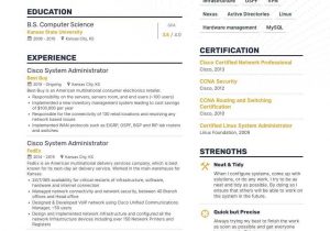 Junior Linux System Administrator Resume Sample System Administrator Resume: 4 Sys Admin Resume Examples & Guide