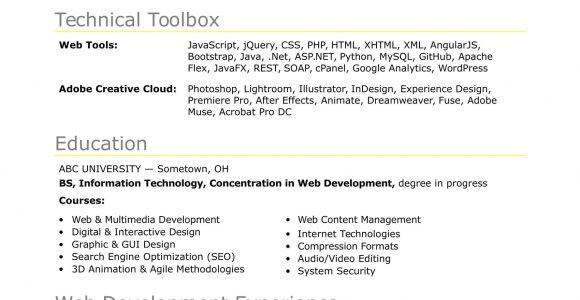 Junior Web Developer Resume Objective Sample Sample Resume for An Entry-level It Developer Monster.com