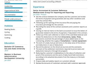 Keep Track Of Expenses Resume Sample Senior Accountant Resume Example 2021 Writing Guide – Resumekraft