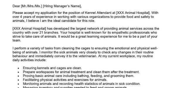 Kennel attendant Resume Sample You Can Edit Kennel attendant Cover Letter Examples – Qwikresume