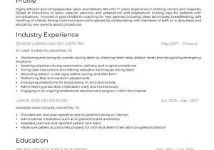 Labor and Delivery Nurse Sample Resume the Best Nurse Cv/rÃ©sumÃ© Examples and Templates