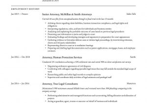 Labor and Employment attorney Resume Sample 18 attorney Resume Examples & Writing Guide Pdf’s & Word 2020