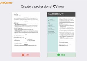 Last Line Resume Sample I Hereby Better Ways to Say Please Find attached My Cv (alternatives)
