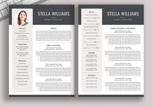 Latest Resume Samples for Freshers 2023 2022-2023 Pre-formatted Resume Template with Resume Icons, Fonts …