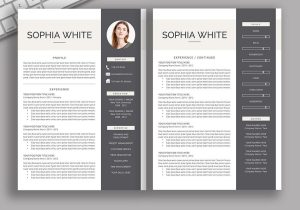 Latest Resume Samples for Freshers 2023 2022-2023 Pre-formatted Resume Template with Resume Icons, Fonts …