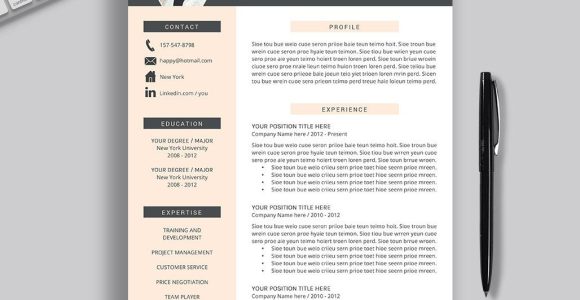 Latest Resume Samples for Freshers 2023 2022-2023 Pre-formatted Resume Template with Resume Icons, Fonts …