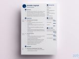 Latest Sample Resume format for Freshers the 3 Best Resume formats to Use In 2022 (examples)