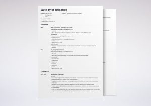 Law School Application Resume Template Download Law School Application Resume Template (20lancarrezekiq Examples)