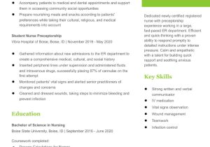 Lead Rn Pre Admission Testing Sample Resume Emergency Room (er) Nurse Resume Examples In 2022 – Resumebuilder.com