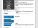 List Of Computer Skills Resume Sample Computer Skills for Resume (how to List   Examples)