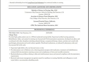 Lpn Resume Sample Long Term Care Resume Templates for Licensed Practical Nurse : Table Of Contents