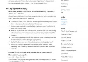Make Your Pitch In Resume Sample Account Executive Resume & Writing Guide  12 Templates Pdf ’20