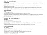 Management and Program Analyst Resume Samples 4 Job-winning Project Manager Resume Examples In 2021