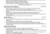 Management and Program Analyst Resume Samples Business Analyst Resume Sample Lovely Credit Analyst Resume …