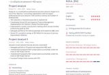 Management and Program Analyst Resume Samples top Project Analyst Resume Examples   Expert Tips Enhancv.com