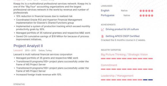 Management and Program Analyst Resume Samples top Project Analyst Resume Examples   Expert Tips Enhancv.com