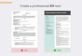 Masters En Route to Phd Sample Resume Cv for Phd Application: Writing Guide (with Phd Cv Example)