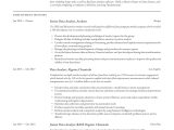 Masters Students Sample Project Resume On Big Data Data Analyst Resume & Writing Guide  19 Examples Word & Pdf