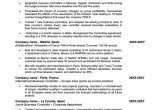 Mba Application Resume Sample Having No Experience Example Of A Good Cv for An Mba Application
